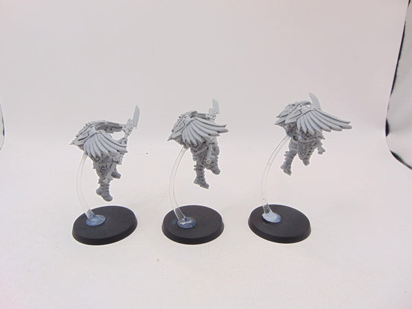 Custodian Venatari