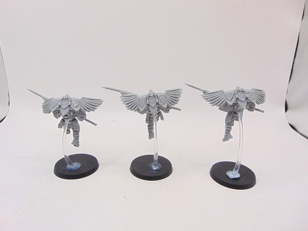 Custodian Venatari