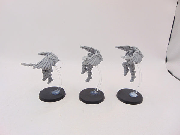 Custodian Venatari