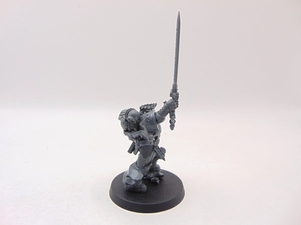 The Emperor's Champion