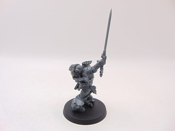 The Emperor's Champion