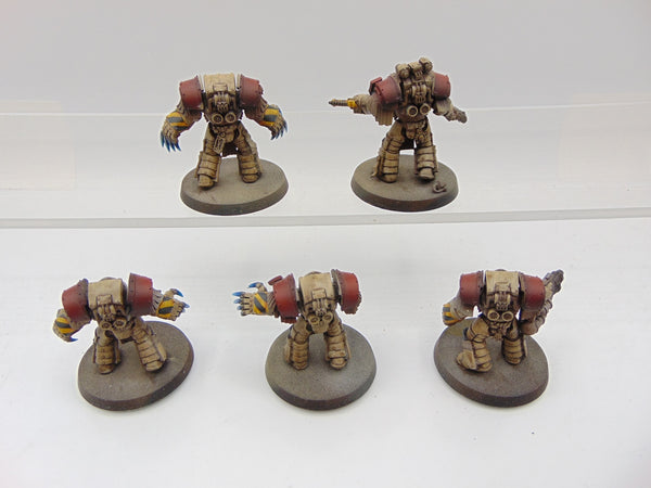 Cataphractii Terminator Squad