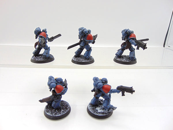Grey Hunters