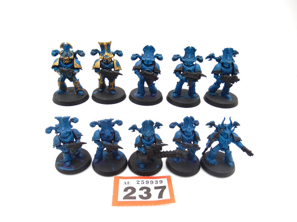 Rubric Marines