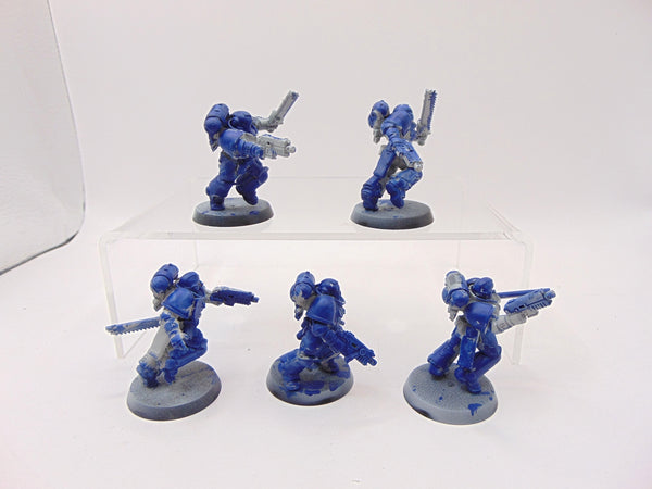 Assault Intercessors