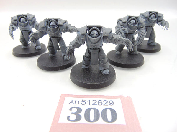 Cataphractii Terminator Squad