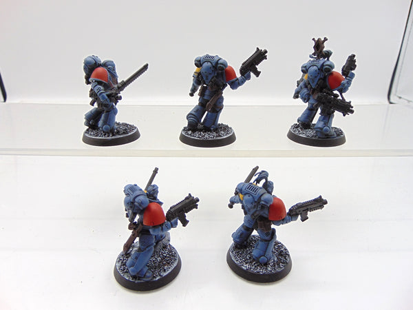 Grey Hunters