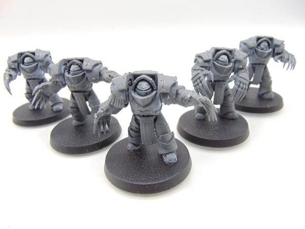 Cataphractii Terminator Squad
