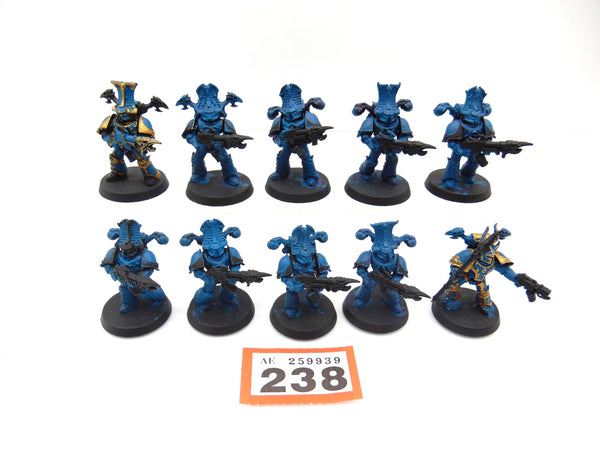 Rubric Marines