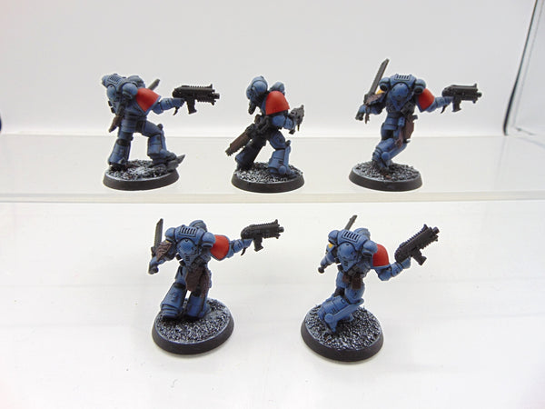 Grey Hunters