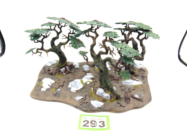 Citadel Woods