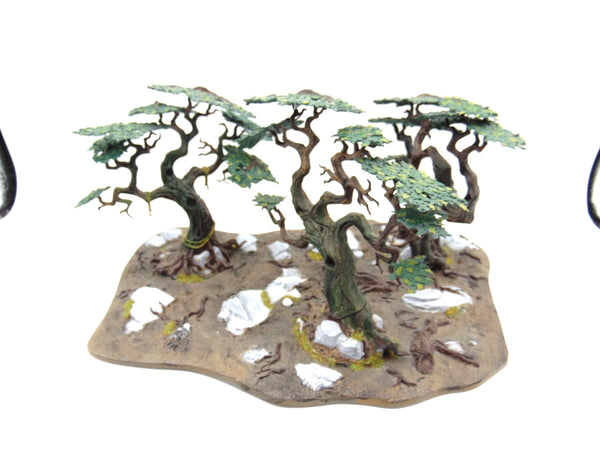 Citadel Woods