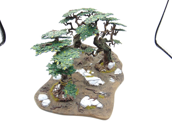 Citadel Woods
