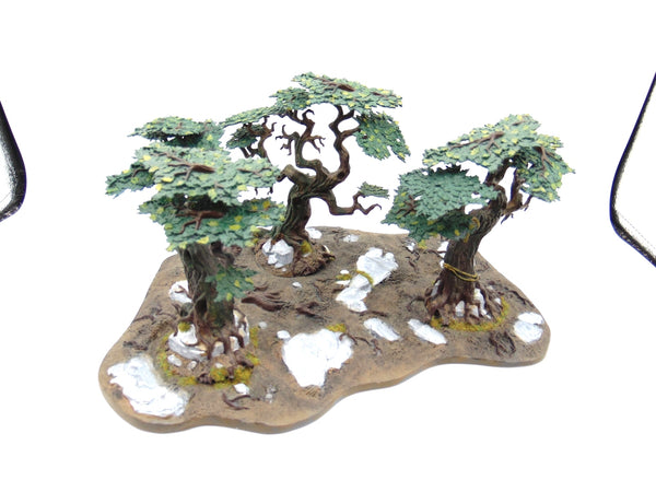 Citadel Woods