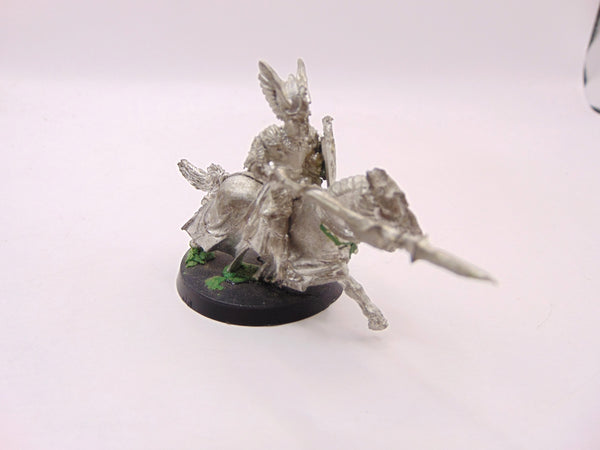Swan Knight of Dol Amroth