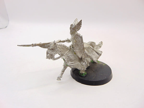 Swan Knight of Dol Amroth