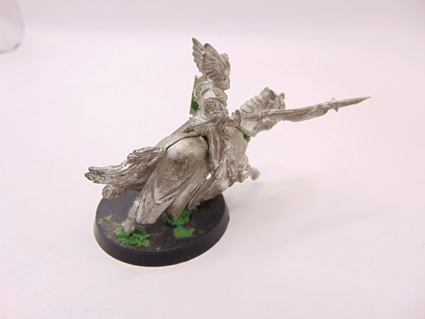 Swan Knight of Dol Amroth