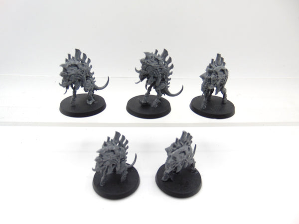 Barbgaunt
