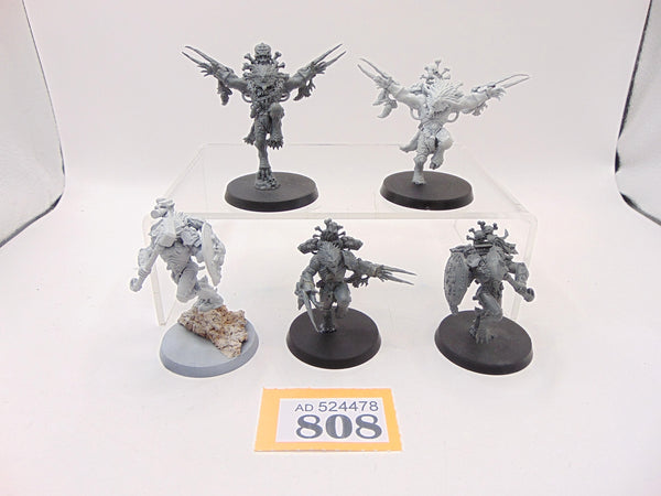 Wulfen