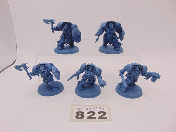 Wolf Guard Terminators