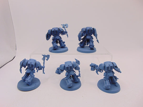 Wolf Guard Terminators