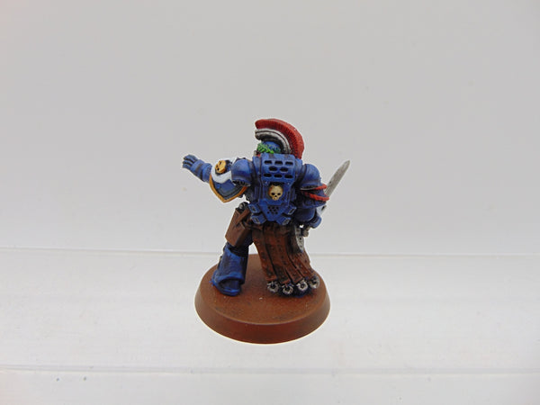 Ultramarines Honour Guard