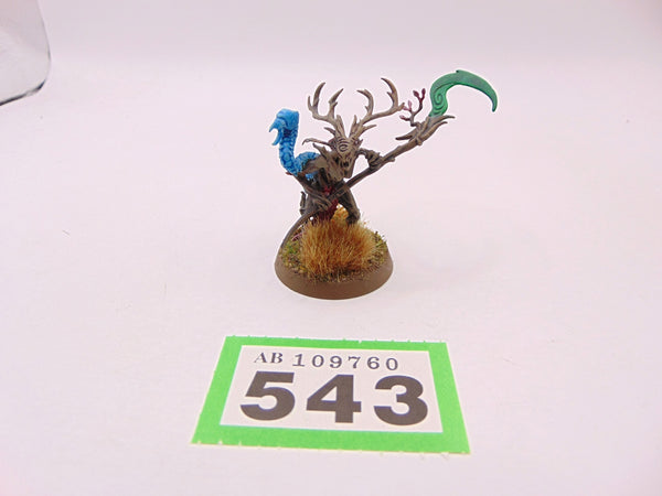 Branchwych