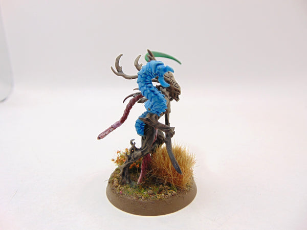 Branchwych
