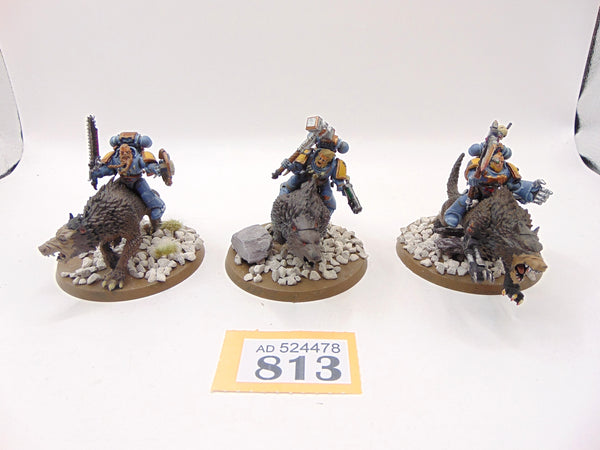 Thunderwolf Cavalry