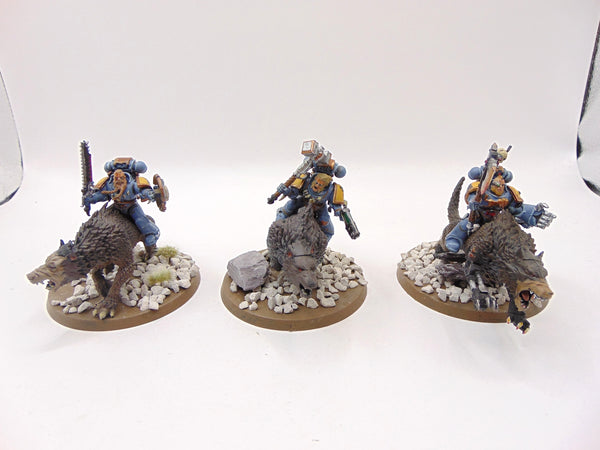 Thunderwolf Cavalry