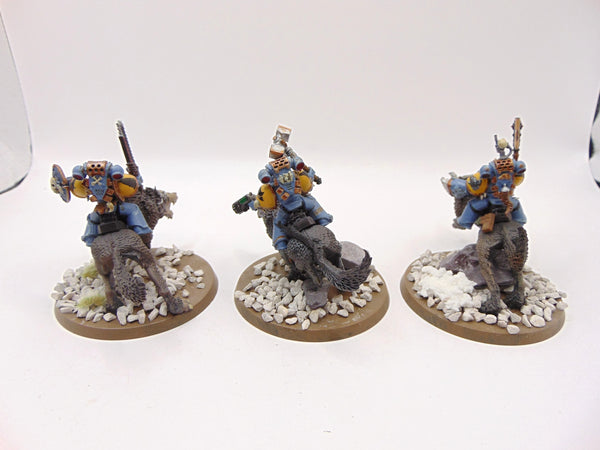 Thunderwolf Cavalry