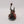 Praetor