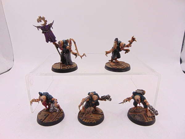Acolyte Hybrids