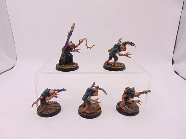 Acolyte Hybrids