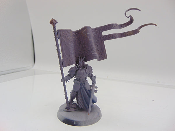 Knight Vexillor with Banner of Apotheosis