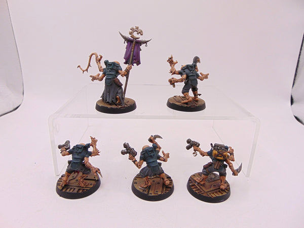 Acolyte Hybrids