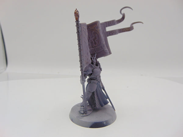 Knight Vexillor with Banner of Apotheosis