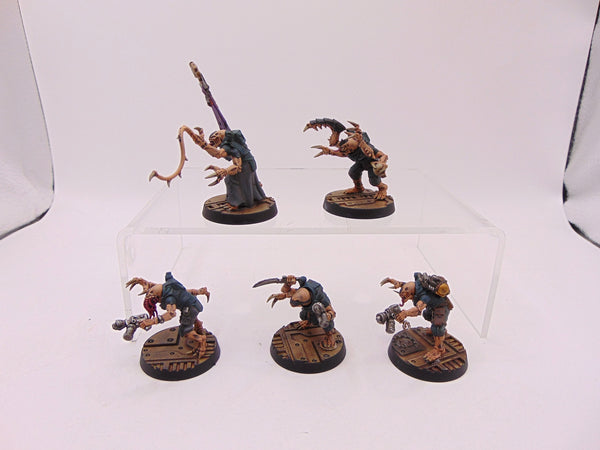 Acolyte Hybrids