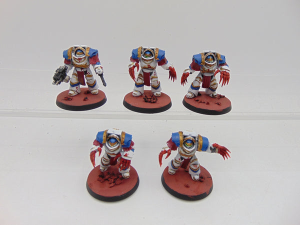 Cataphractii Terminator Squad