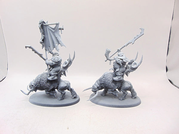 Mournfang Cavalry Pack