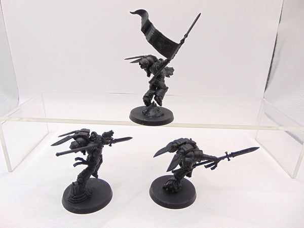 Sanguinary Guard