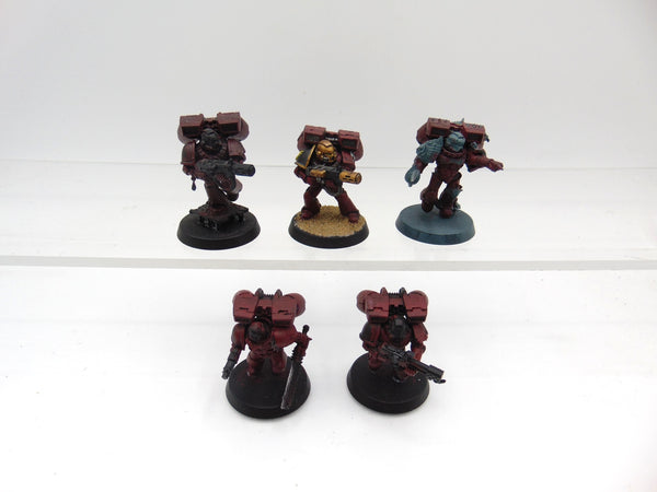 Assault Marines