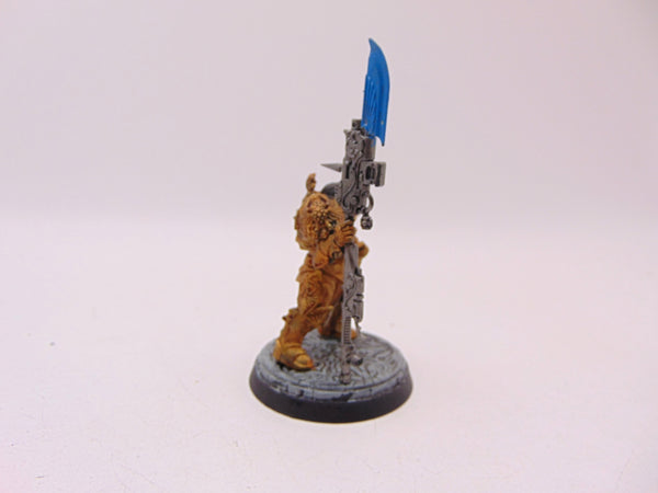 Shield Captain Valerian