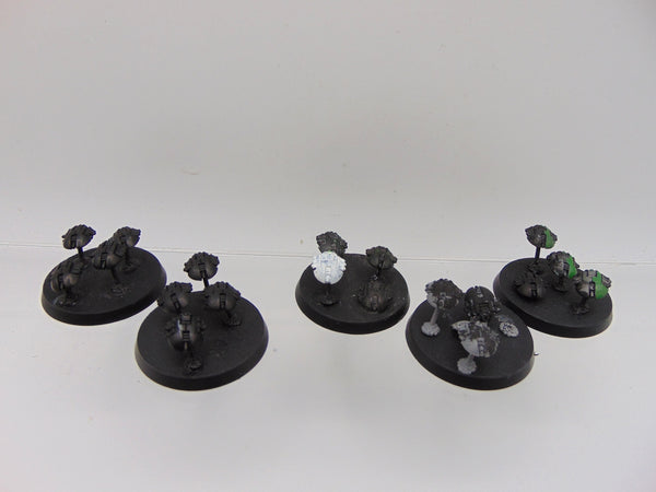 Canoptek Scarab Swarms