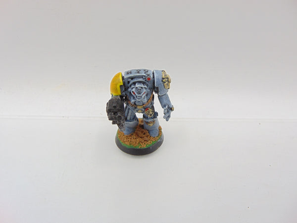 Space Wolf Terminator