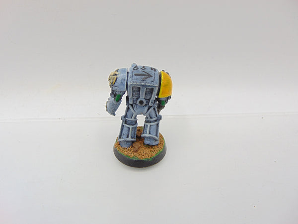 Space Wolf Terminator