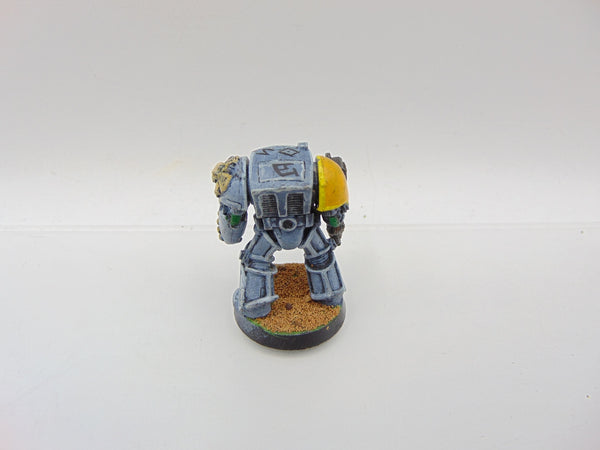 Space Wolf Terminator