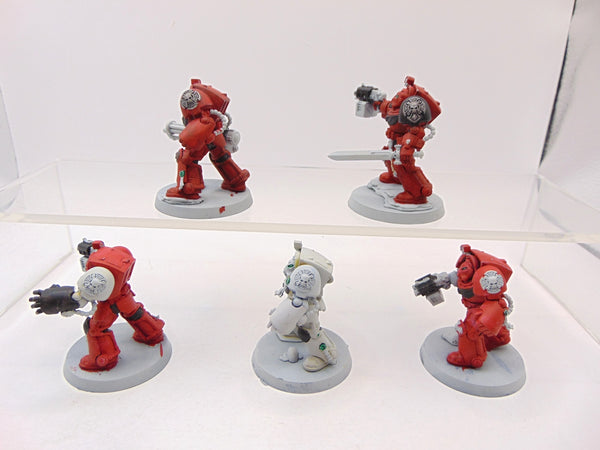 Terminator Squad