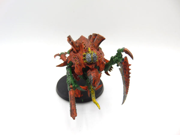Carnifex