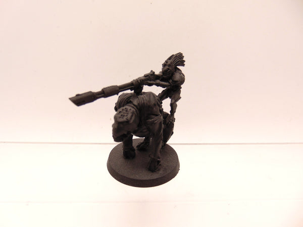Krootox Rider
